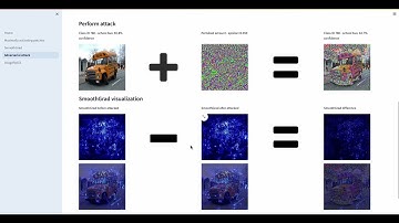 [DEMO] Adversarial perturbation visualization with SmoothGrad | FYP