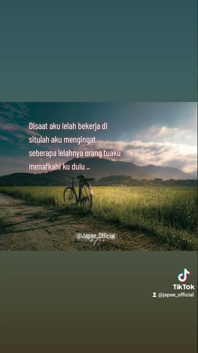 story wa