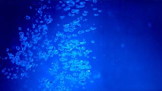 8 Hours Water Bubbles 4K Screensaver - Underwater Ambience, Bubble Sounds & Calm Music screenshot 5