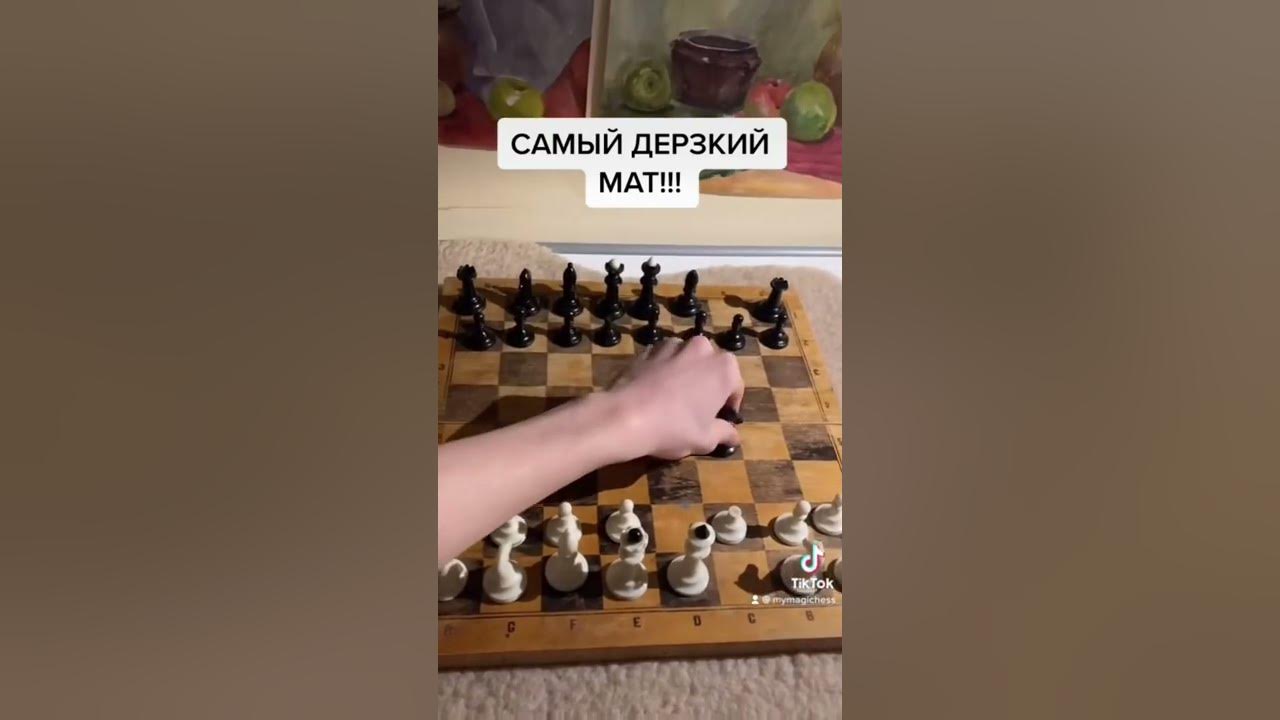 4d шахматы