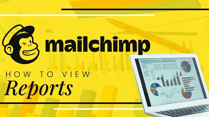 Email Marketing 101: How To View Reports in MailChimp