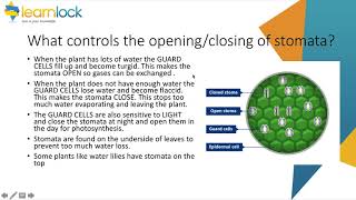 GCSE AQA Biology - B2 organisation - plant organisation