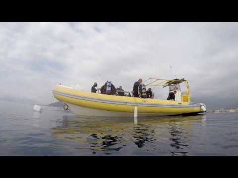 Relitto del San Guglielmo - scuba - diving - mare sub club