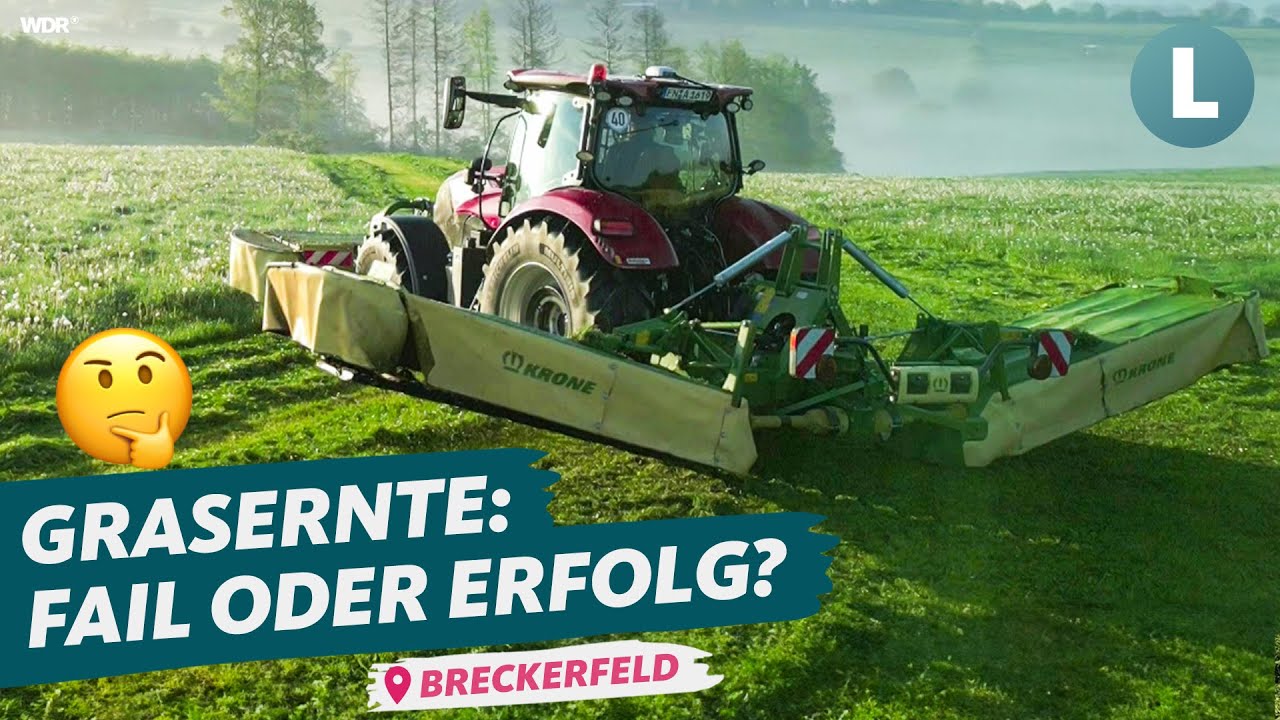 Grasernte unter Zeitdruck: eine Familie packt mit an! | WDR Lokalzeit Land.Schafft.