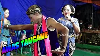 PARDI KUCING YEN JOGET TANGANE TLUSUR