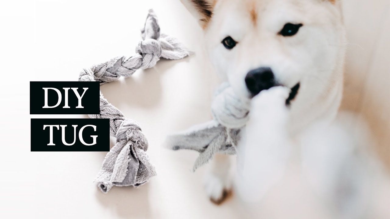 COMMENT REALISER FACILEMENT UN JOUET POUR CHIEN ? | Zéro Déchet - YouTube