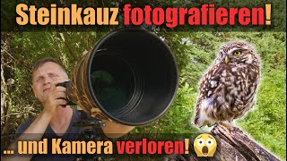 Eulen im Fokus: Steinkauz Fotografie Tipps & Tricks!