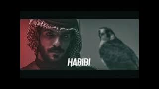 HABIBI SUYDY ARBIAN SONG