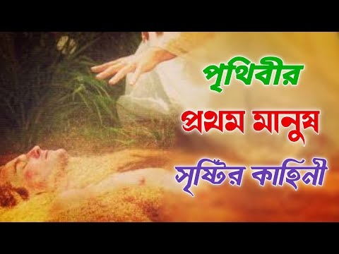 ভিডিও: যখন প্রথম আকাশপথে নির্মিত হয়েছিল