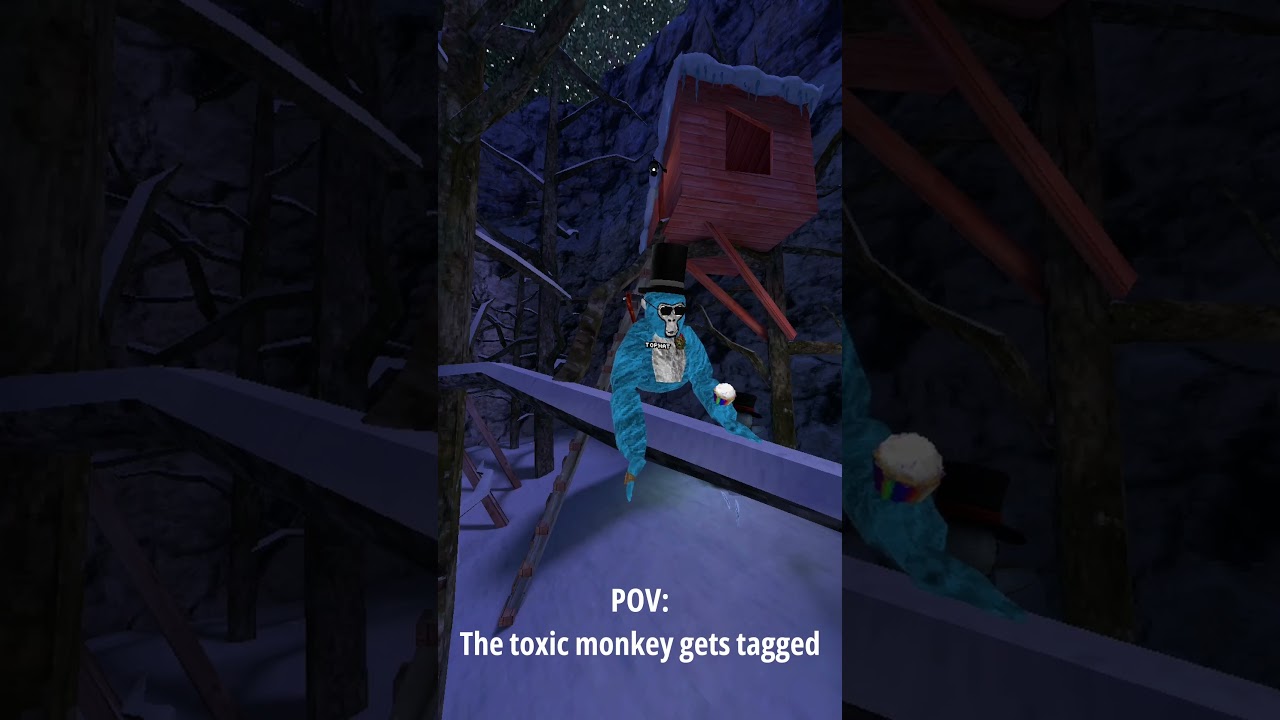Why are they like this? (Gorilla Tag meme video)