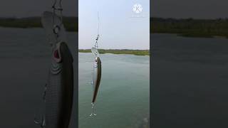 How to Action Storm Thander Barra//Specially Barramundi catching#trending#fishing #nalinifishingblog