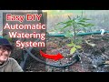 Diy garden watering irrigation system  simple and affordable automatic watering solution
