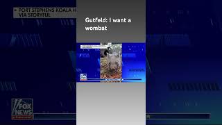 Greg Gutfeld reveals his cute fluffy wish #shorts