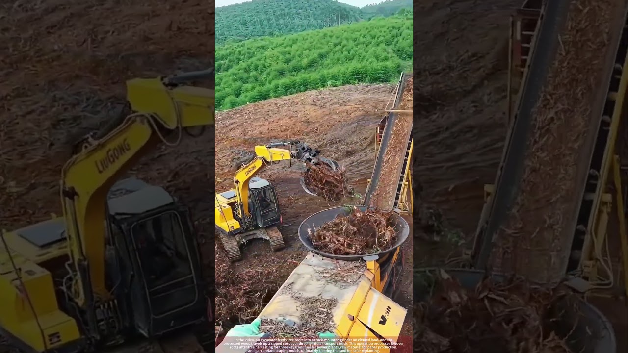 Grinding Tree Roots for Fuel, Paper & Mulch After Harvest