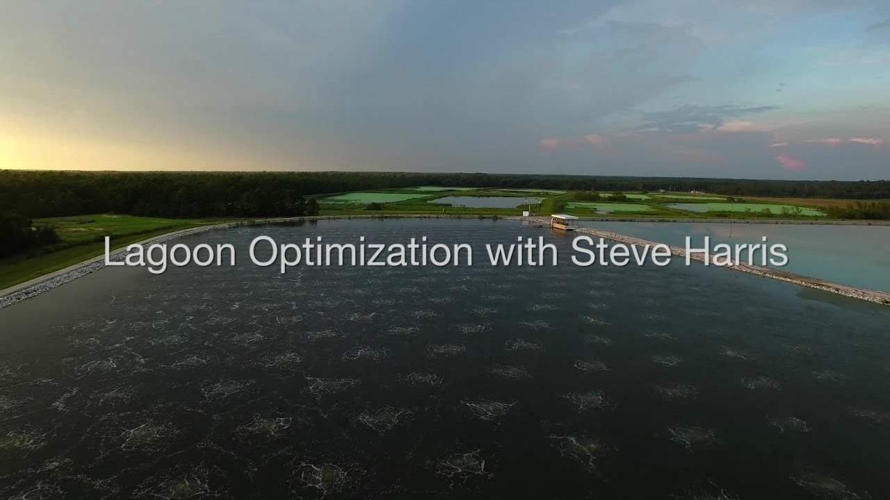 Lagoon Optimization with Steve Harris