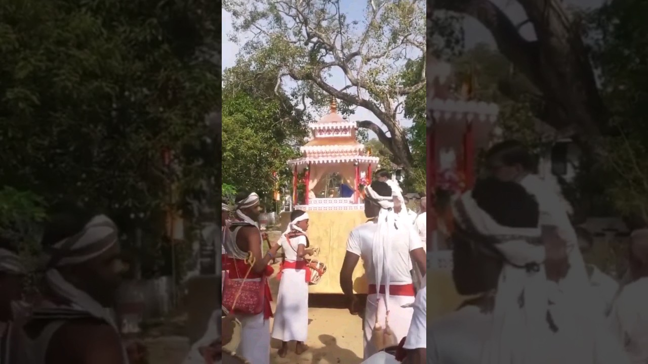 සිංහල අලුත් අවුරුද්දට යන පෙරහැරක් ගැන දැනගෙන හිටියාද?#srilanka #vlog
