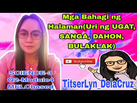 Mga Bahagi ng Halaman(Uri ng Ugat, Sanga,Dahon, Bulaklak)Gamit at Halaga ng mga ito at Paano Alagaan