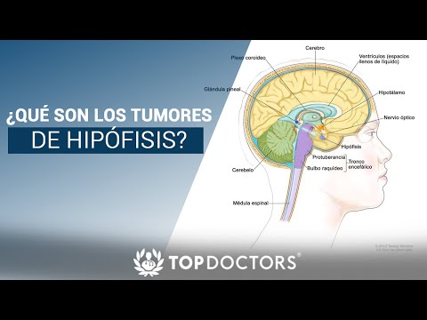 Vídeo: 5 Mitos Sobre Los Tumores Pituitarios