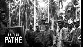Solomon Islands - War In The Pacific (1942)