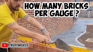 Garden wall repair. how many bricks per gauge? #bricklaying #build #wall