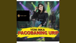 Pacobaning Urip