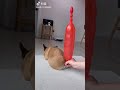 オナライッヌで風船を膨らませよう。