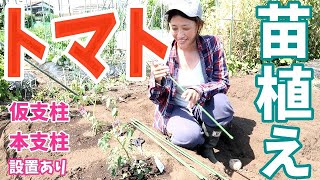 【家庭菜園】トマト栽培〜苗の植え付け〜支柱・仮支柱も設置したよ♫