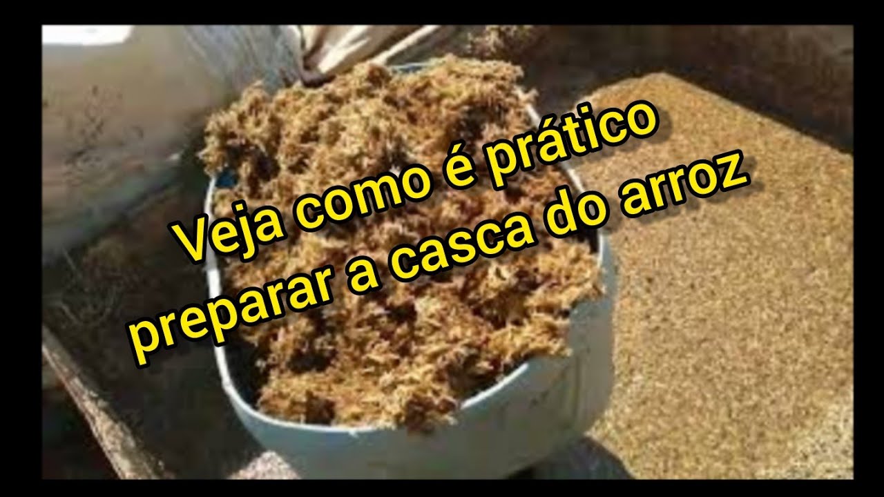 Como eu preparo a casca de arroz