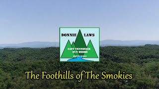 Appalachia Wildlife Foothills of the Smokies view #SHORTS