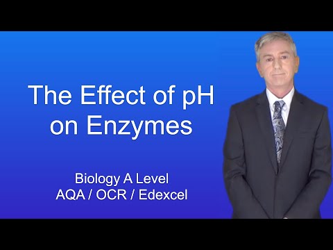 Vidéo: Le ph affecte-t-il la fluidité de la membrane ?