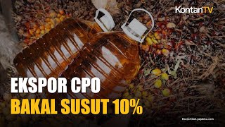 Ada Program B50, Ekspor CPO Bisa Susut 5%-10% pada 2026