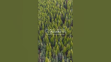 سورة المرسلات الشيخ عبدالله الموسى