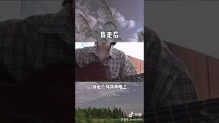 Download Lagu 我走后 MP3 我走后