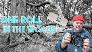 One Roll of Ilford FP4 Plus 125 in the Woodland | Medium Format Film Photography