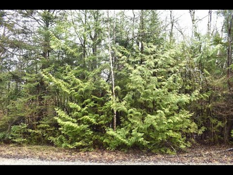 14280 Birchall Court, Cheboygan, MI home video tour