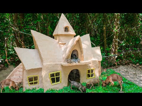 Rescue Newborn Kitten Building Mud House Cat And Dog House