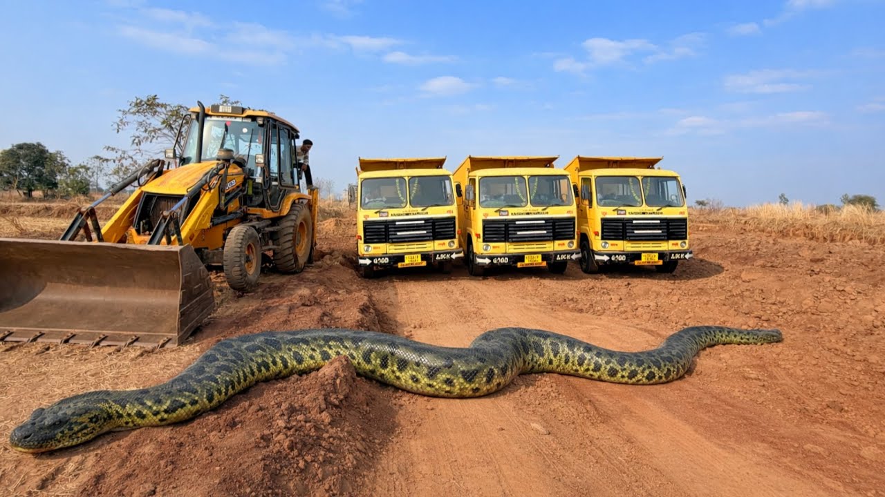 JCB 3DX Xpert Excavator Soil Digging & Loading on Old Tata Motors Truck Heavy Equipment Work Video 