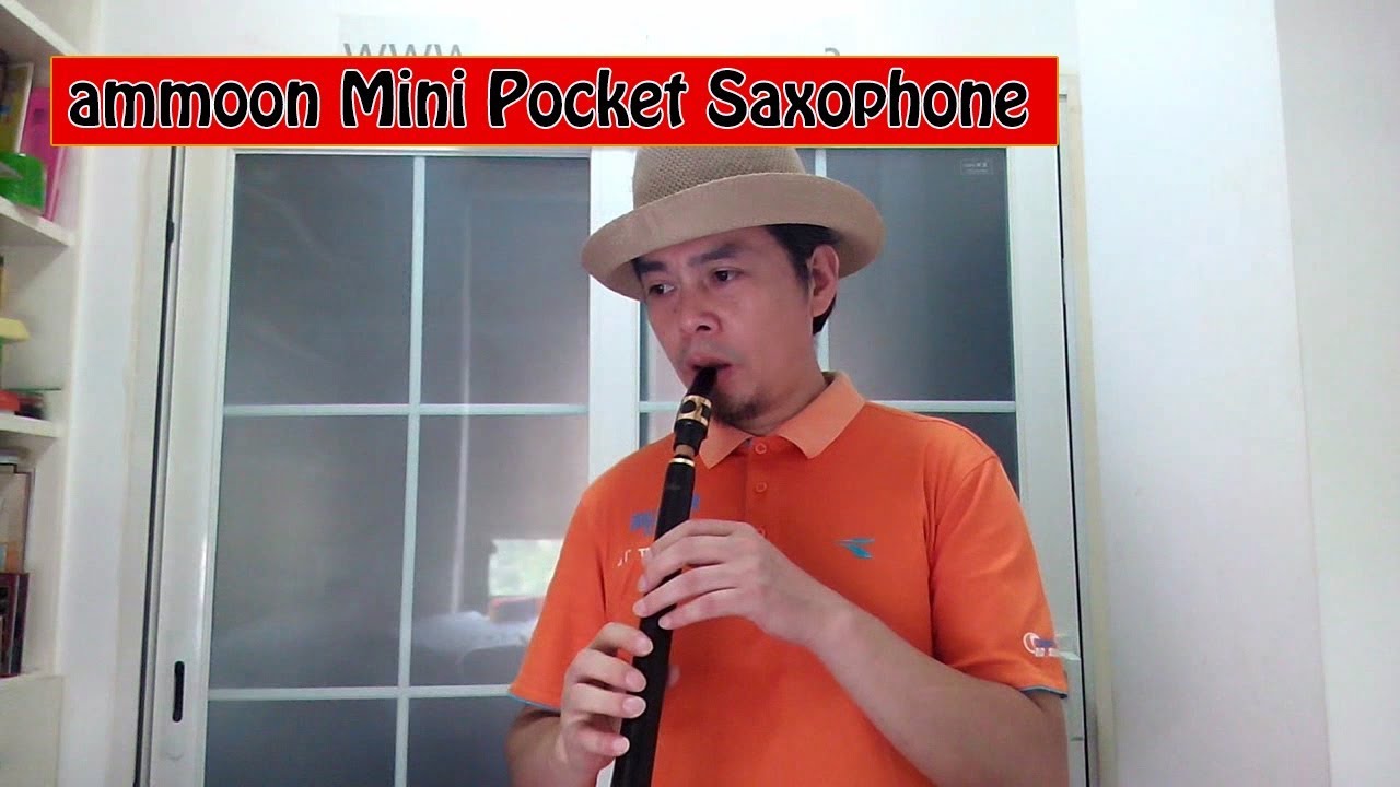 Ammoon-Mini Saxophone en Sib de Poche en ABS, avec Embouchures