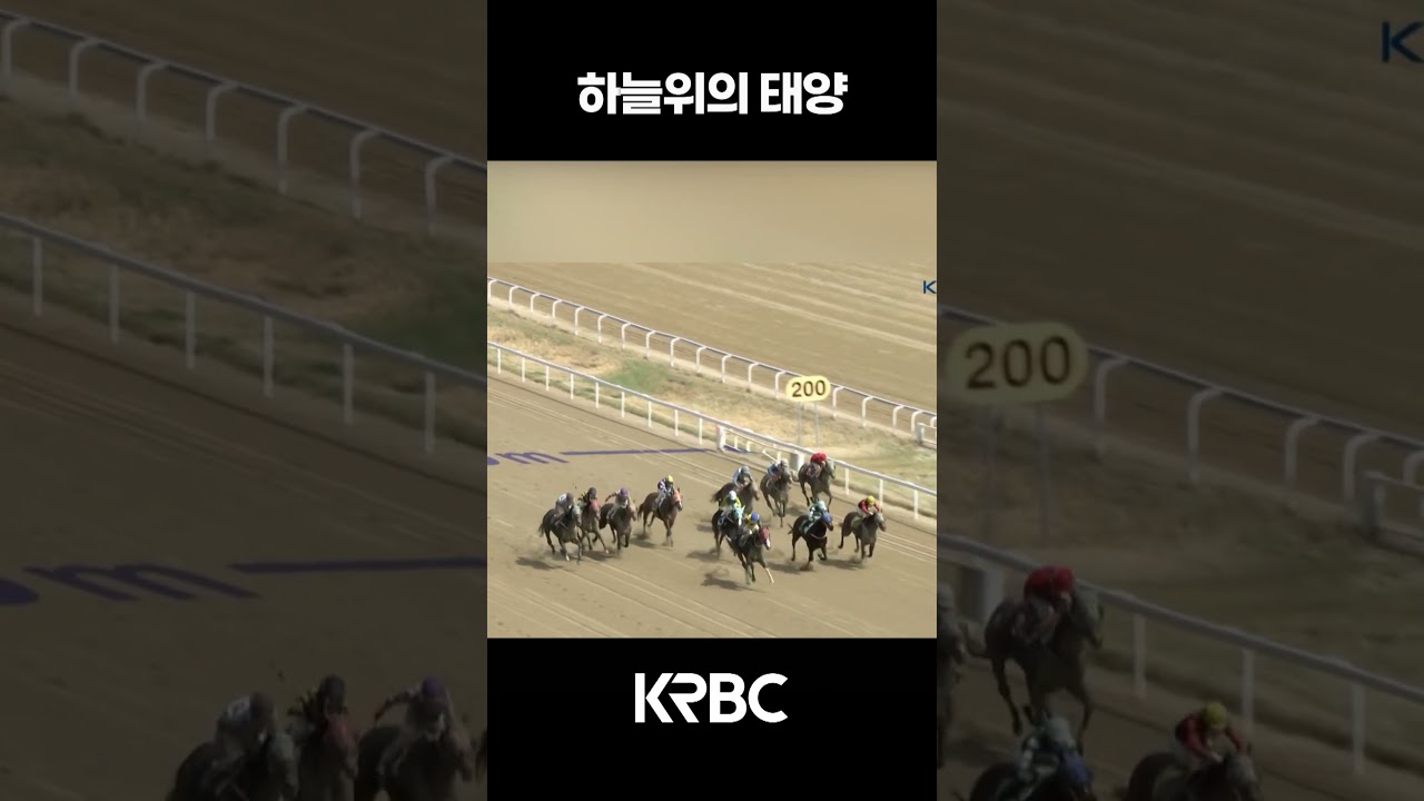 하늘위의 태양 #shorts #경마방송 #기수 #경주마 #경마 #KoreaHorseRacing