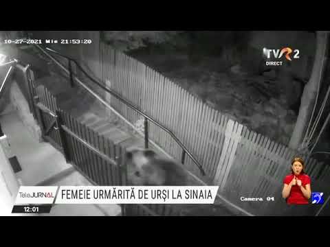 Video: Ce înseamnă Urșii de pe steagul Missouri?