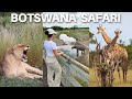 Botswana africa  luxury safari  you wont believe what we saw