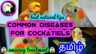 common diseases and treatment for cockatiels | tamil | more about pets | MAP | screenshot 4