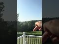 Beginning of video