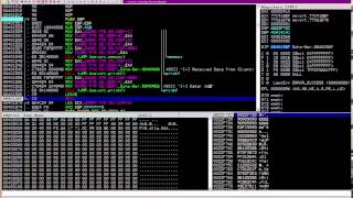 Famous DC813: Malware Analysis: Buffer Overflows  Sunny Wear - Part2 Profile