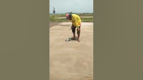 MERPATI MATI DITEMPAT NGERIIII