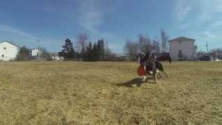 Frisbee with Reverse Angle and Slow Motion