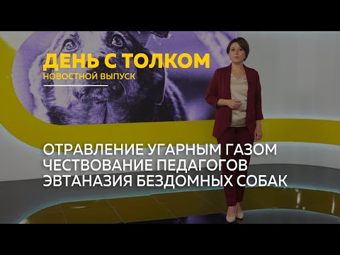 День с Толком 03.10.2024