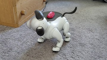 Aibo - Tornado Dance from Sony