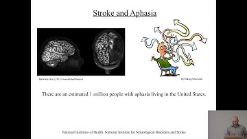 "A cognitive psychometric model for assessment of picture naming errors",  Grant M. Walker