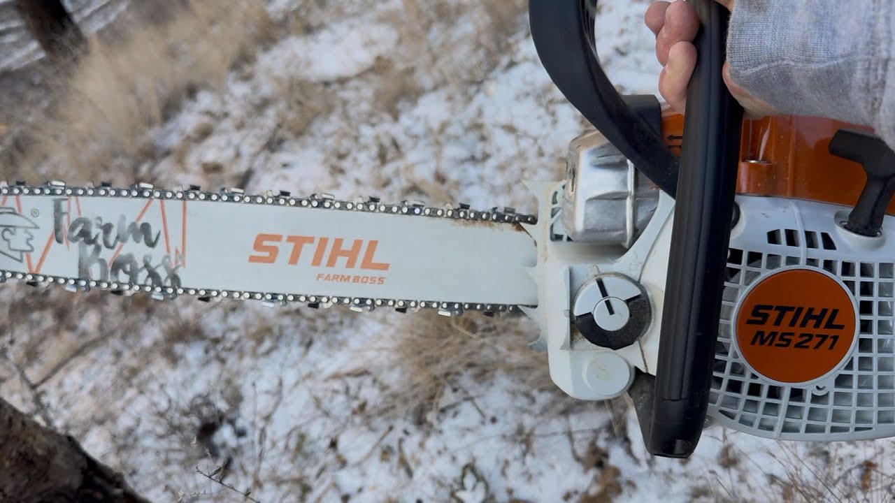 My First STIHL Chain Saw! Felling trees for the First time! 